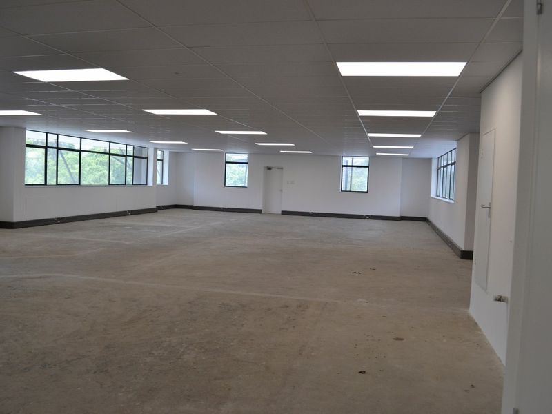 A spacious, open-plan commercial office area featuring a suspended ceiling, recessed lighting, and large windows providing ample natural light.