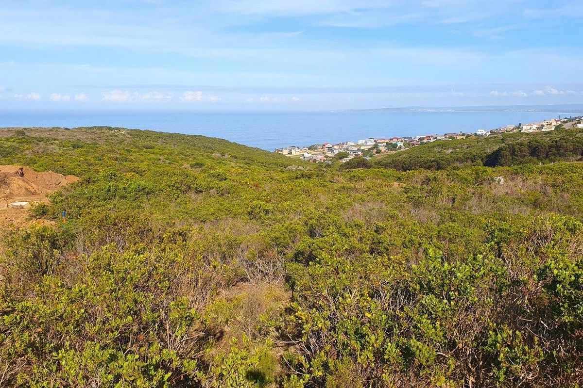A scenic view overlooking a coastal landscape with natural vegetation and distant residential development along the shoreline.