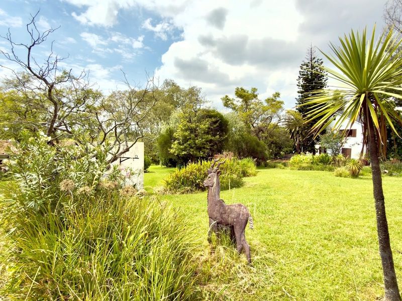 Large Development Parcel with Existing Home on Malibongwe Drive - Photo 6