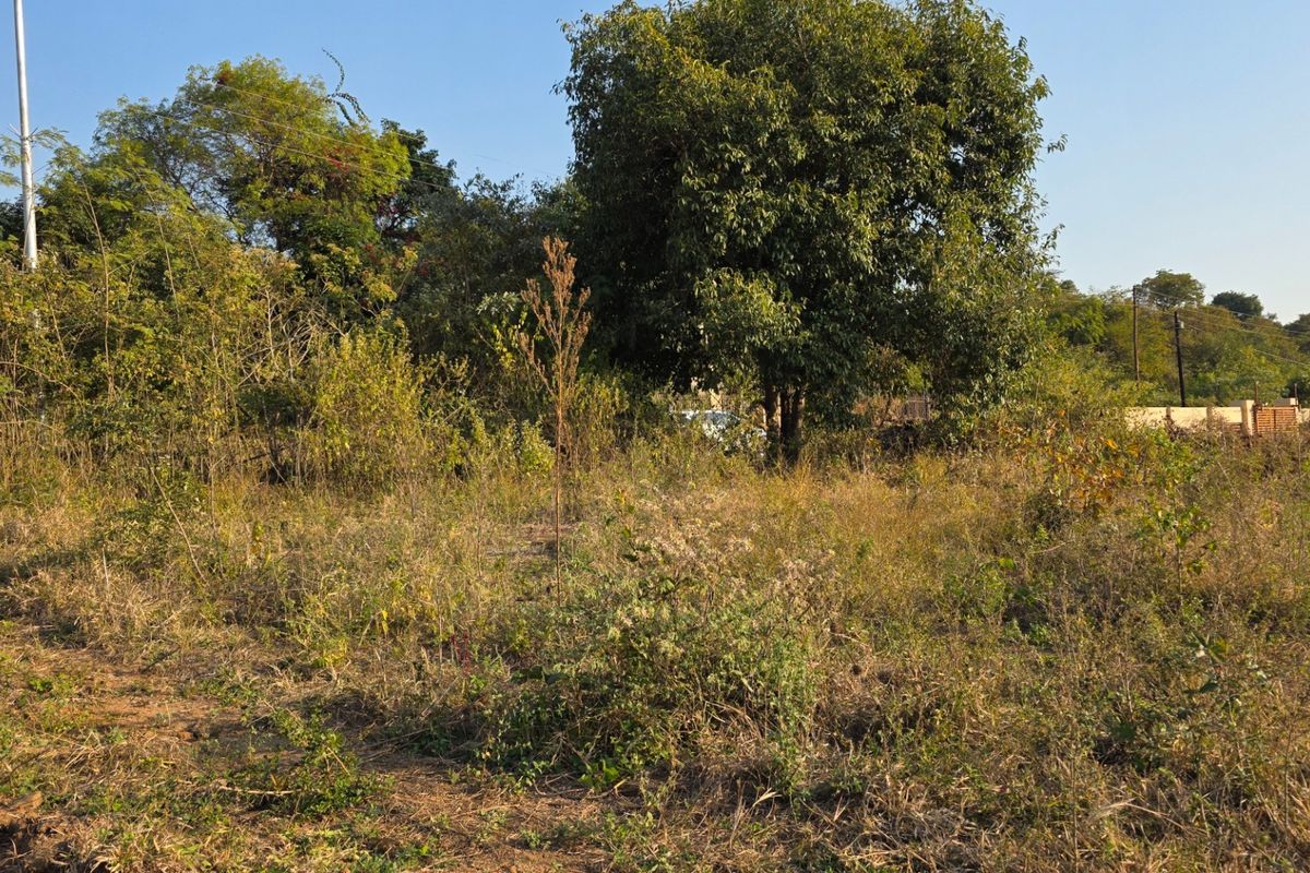 A view of the vacant residential land featuring natural vegetation and mature trees, suitable for future development.