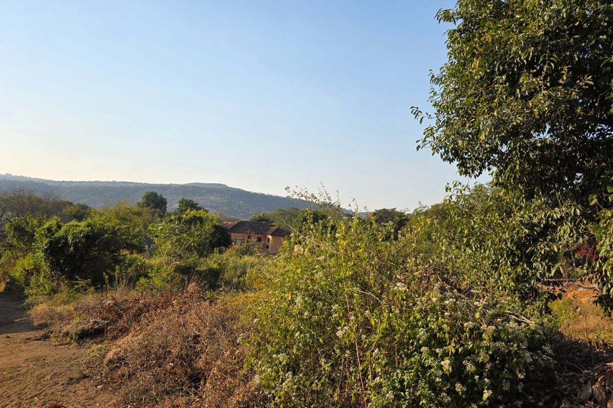 A view of the vacant residential land featuring natural vegetation and surrounding landscape.