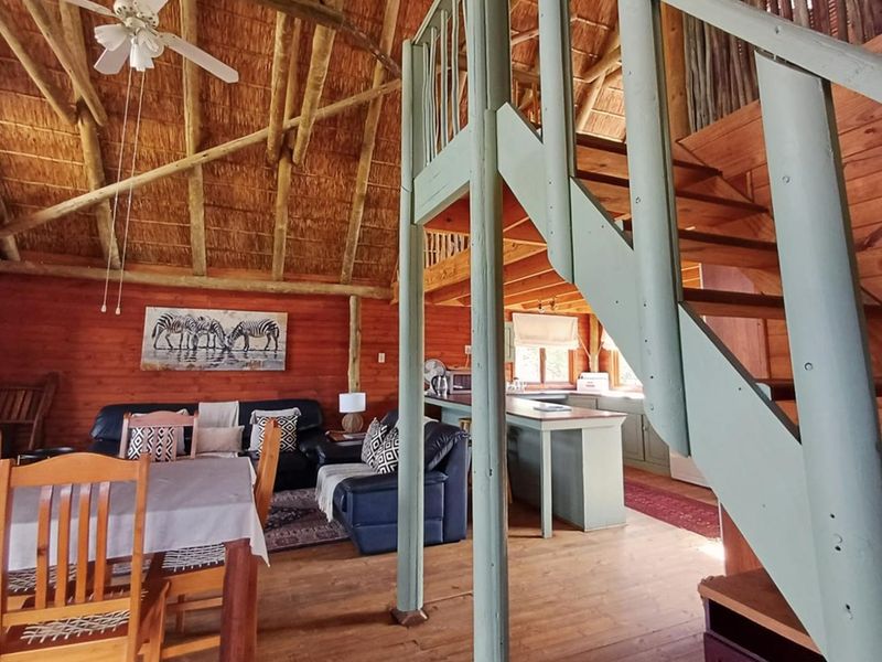 Open-plan living area featuring a double-volume thatched ceiling with exposed timber rafters, timber wall cladding, and a central staircase leading to a mezzanine level.