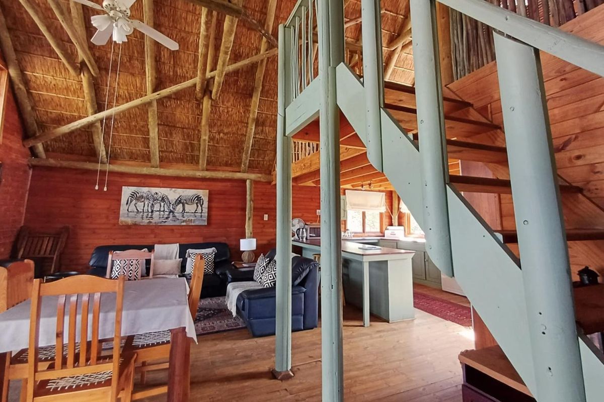 Open-plan living area featuring a double-volume thatched ceiling with exposed timber rafters, timber wall cladding, and a central staircase leading to a mezzanine level.