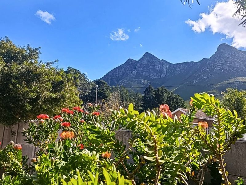 A scenic view of the mountain range from the property garden, featuring established greenery and a clear blue sky.