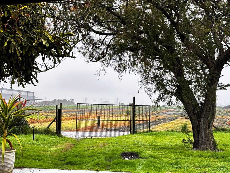 A view of the farm landscape featuring a metal gate, wire fencing, and a large mature tree under an overcast sky.