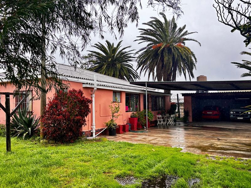 Rear view of the farm property featuring a pink exterior, a spacious carport, and a concrete driveway set within a garden area.