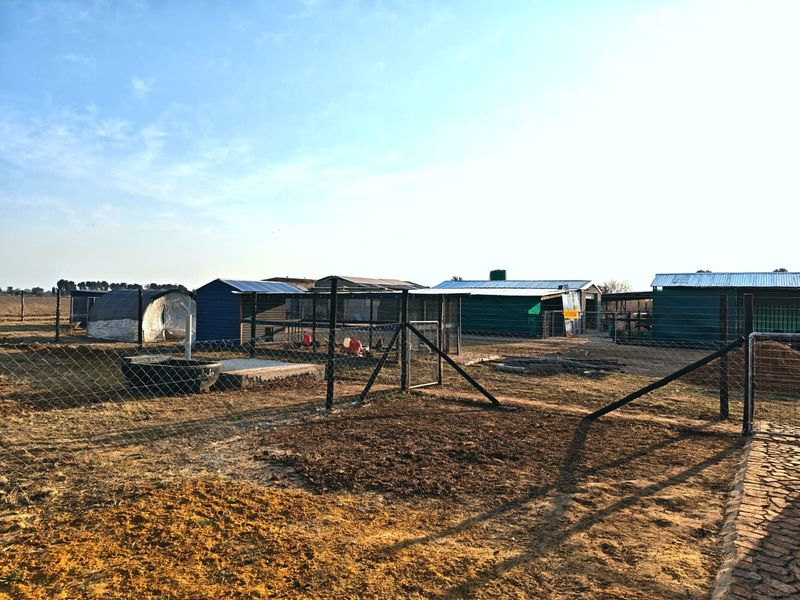 Outdoor area of a small holding featuring various corrugated metal outbuildings, wire fencing, and utility structures on a large plot.