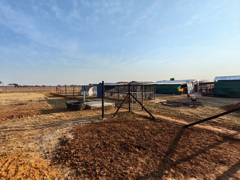 A view of the small holding rear yard featuring various corrugated metal outbuildings, wire fencing, and open dirt grounds.