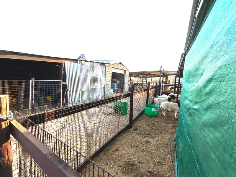 Agricultural utility area featuring livestock enclosures, corrugated iron structures, and wire fencing on a small holding property.