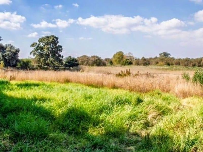 Industrial Property for Sale in Bredell, Kempton Park - Photo 6