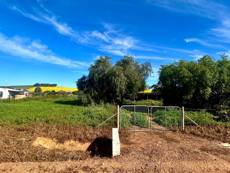 Spacious Smallholding with Beautiful Views and Endless Potential - Photo 2