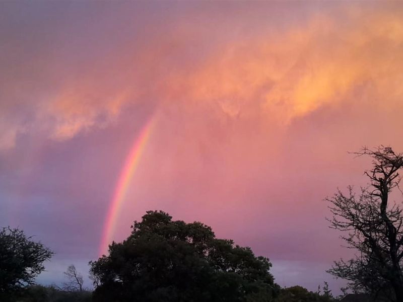 A scenic view of the property landscape featuring a vibrant rainbow against a dramatic sunset sky.