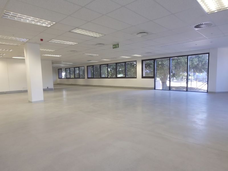 A spacious, open-plan commercial office area featuring polished concrete floors, a suspended ceiling with integrated lighting, and large windows providing ample natural light.