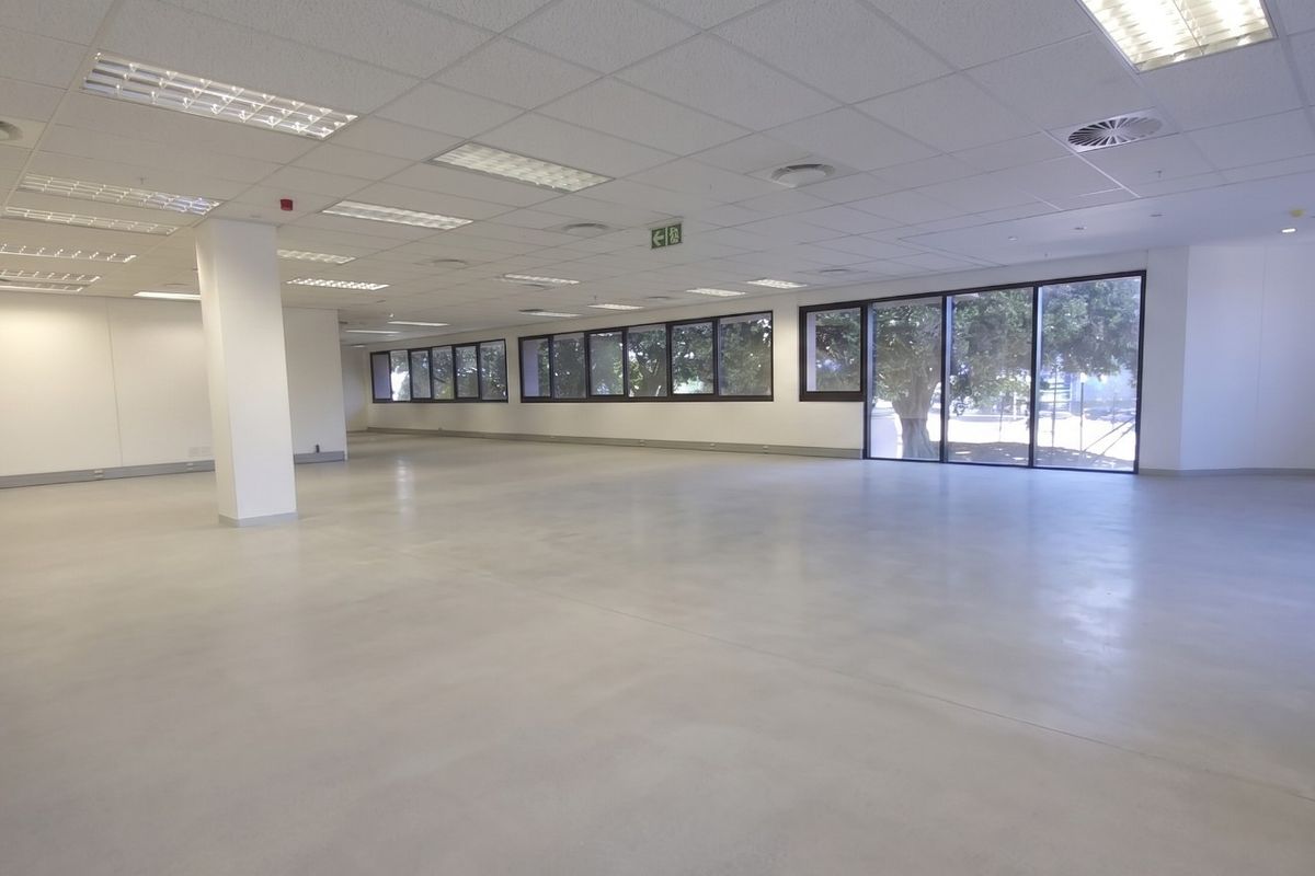 A spacious, open-plan commercial office area featuring polished concrete floors, a suspended ceiling with integrated lighting, and large windows providing ample natural light.