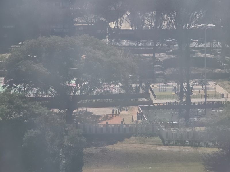 An elevated view overlooking a public park area with mature trees, fencing, and recreational facilities.
