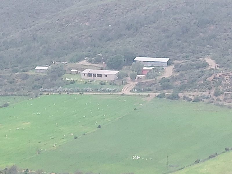 Farm For Sale in George - Photo 1