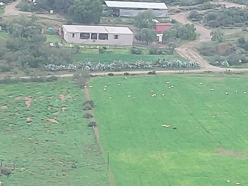 Farm For Sale in George - Photo 2