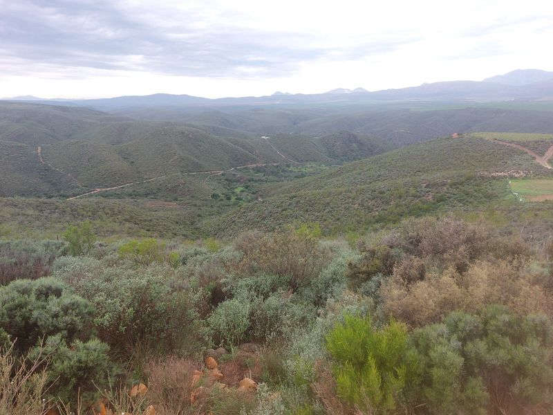 Farm For Sale in George - Photo 8