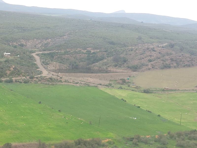 Farm For Sale in George - Photo 6