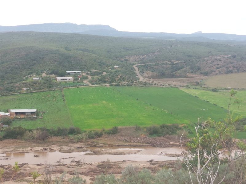 Farm For Sale in George - Photo 3