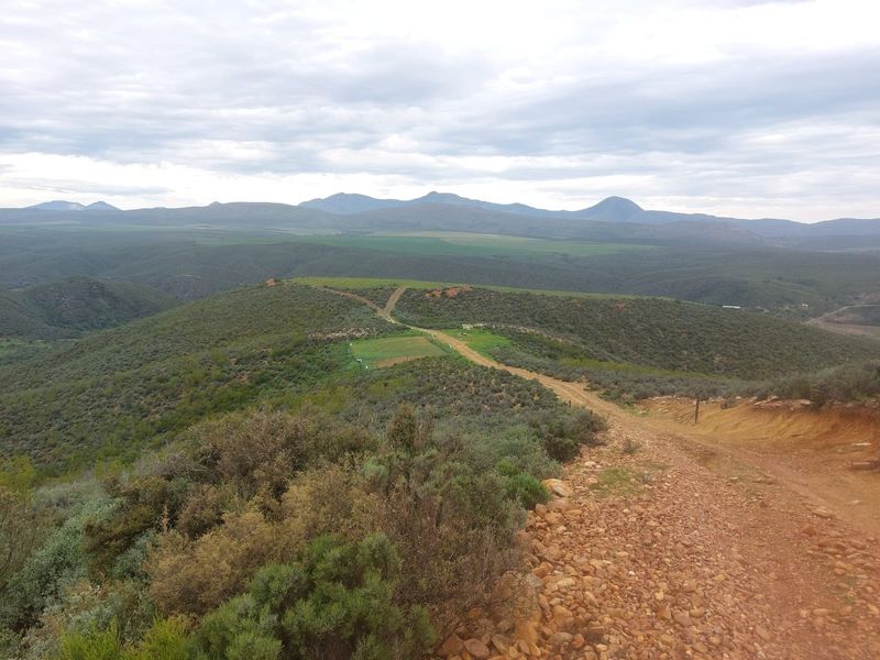 Farm For Sale in George - Photo 7
