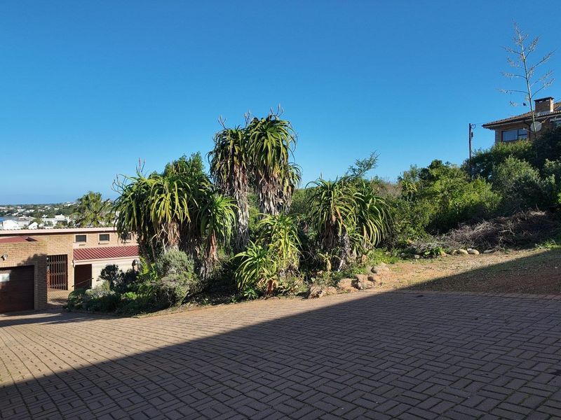 A paved driveway leading to a brick garage, surrounded by established garden landscaping and mature aloe plants under a clear blue sky.