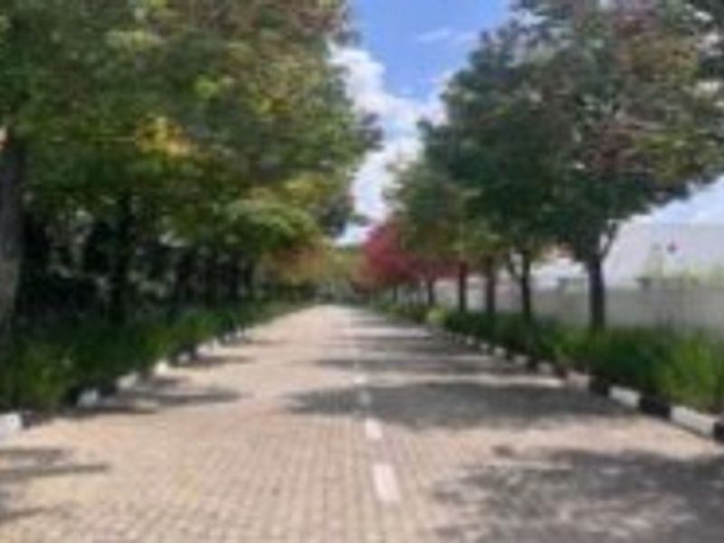 A well-maintained paved access road lined with mature trees and landscaped verges, providing a clean and professional approach to the industrial property.