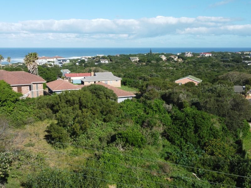 An aerial view of a residential area featuring dense coastal vegetation and a distant ocean horizon.