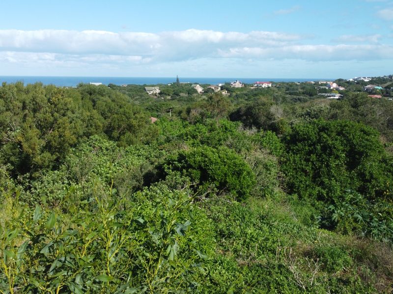 A scenic elevated view overlooking dense coastal vegetation with residential properties and the ocean visible in the distance.