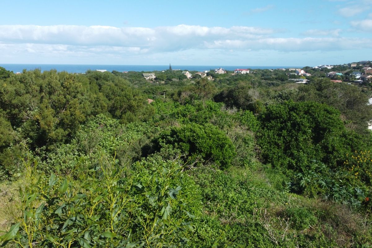 A scenic elevated view overlooking dense coastal vegetation with residential properties and the ocean visible in the distance.
