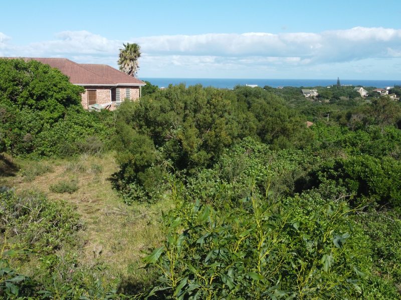 A scenic view overlooking a coastal landscape with dense native vegetation and distant ocean horizon.