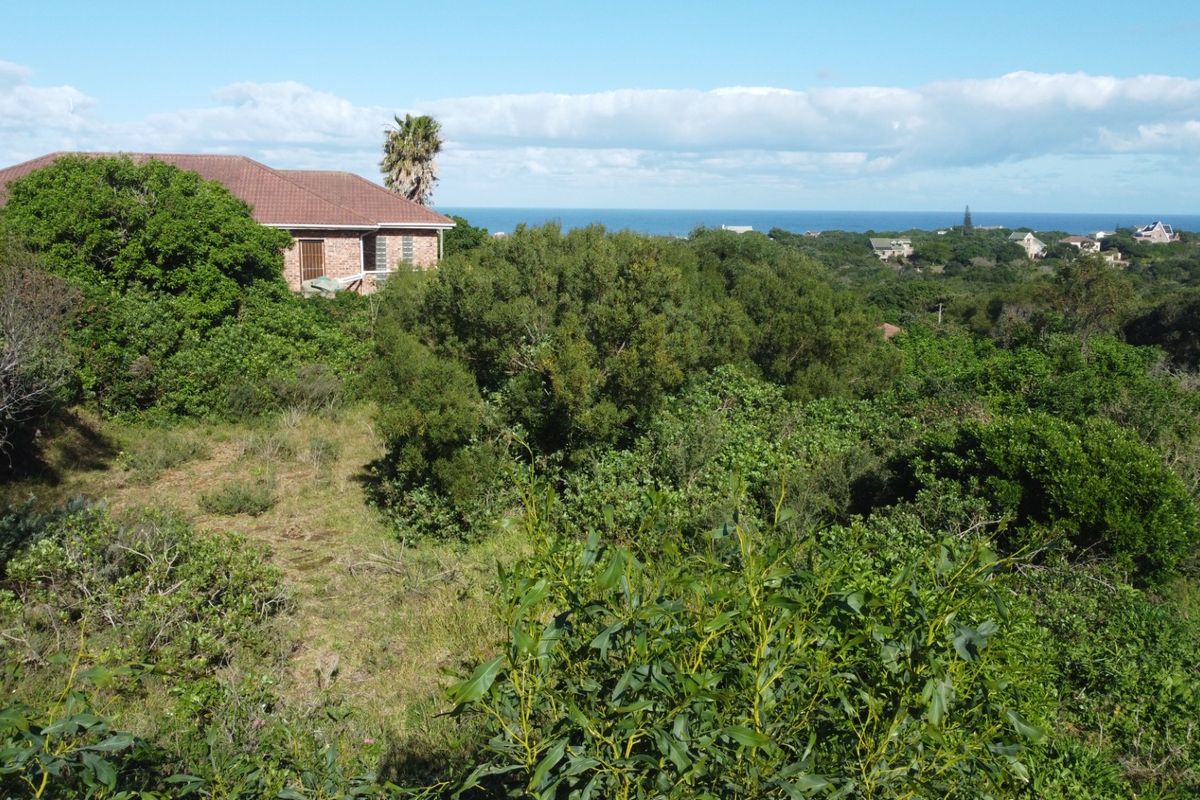 A scenic view overlooking a coastal landscape with dense native vegetation and distant ocean horizon.