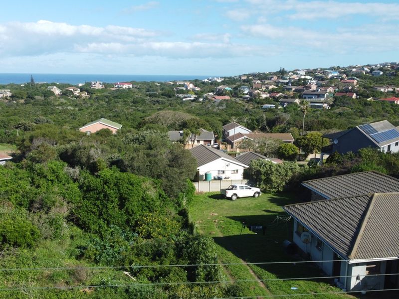 An aerial view of a residential neighborhood with surrounding coastal vegetation and distant ocean views.