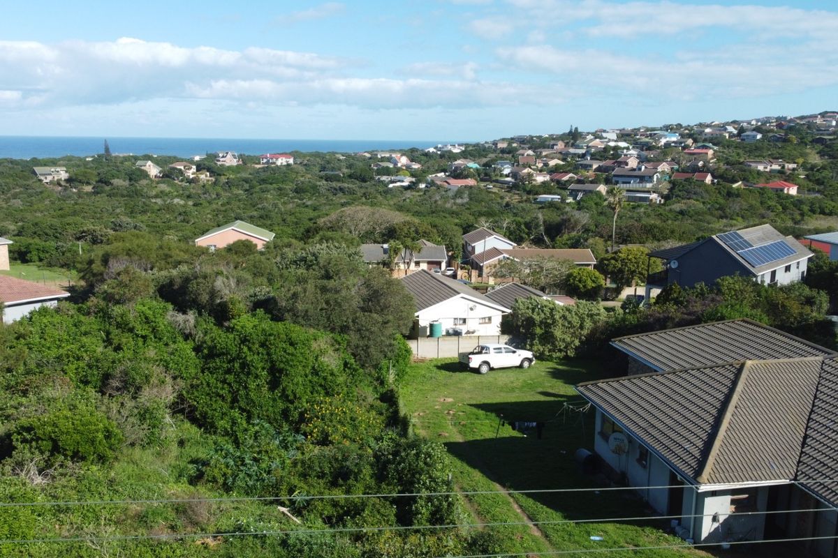 An aerial view of a residential neighborhood with surrounding coastal vegetation and distant ocean views.