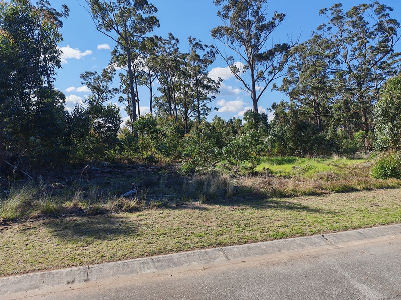 A view of a vacant residential plot featuring established native trees and shrubs, bordered by a concrete kerb and asphalt road.