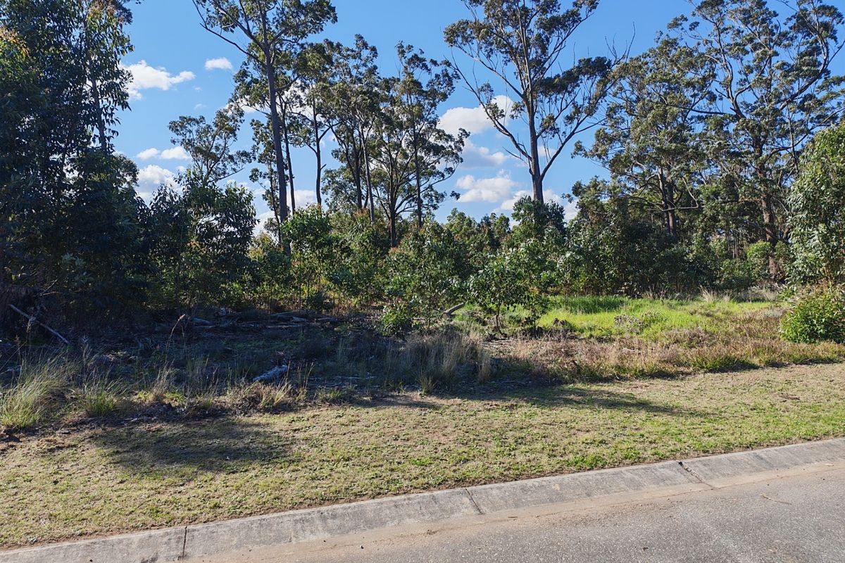 A view of a vacant residential plot featuring established native trees and shrubs, bordered by a concrete kerb and asphalt road.
