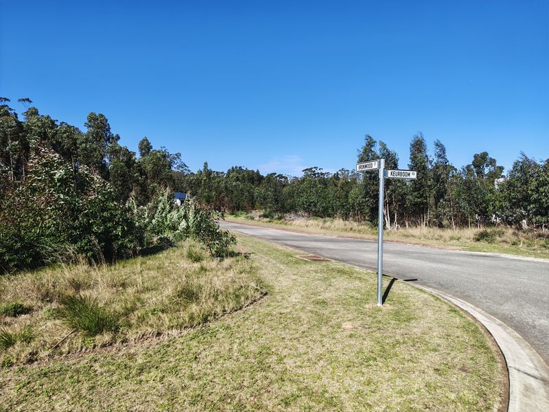 A clear street view showing the intersection of Ironwood Street and Keurboom Road, featuring paved asphalt roads and established surrounding vegetation.