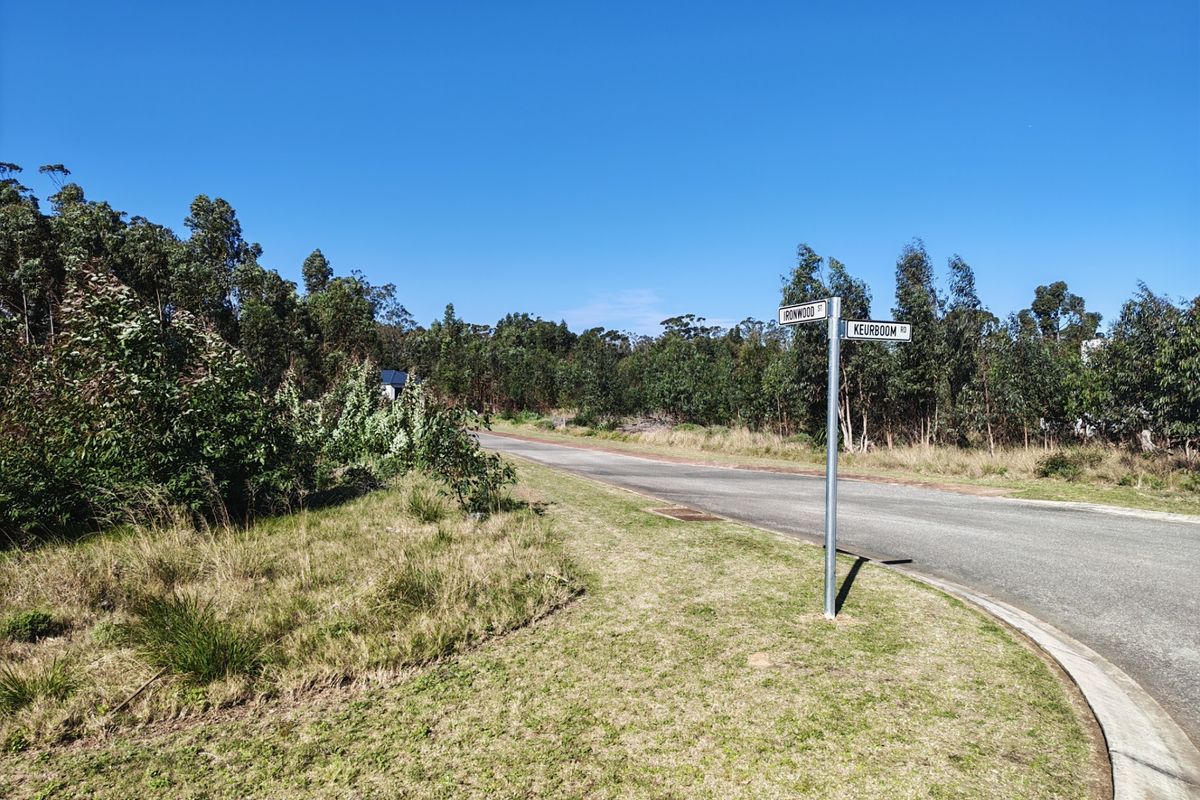 A clear street view showing the intersection of Ironwood Street and Keurboom Road, featuring paved asphalt roads and established surrounding vegetation.