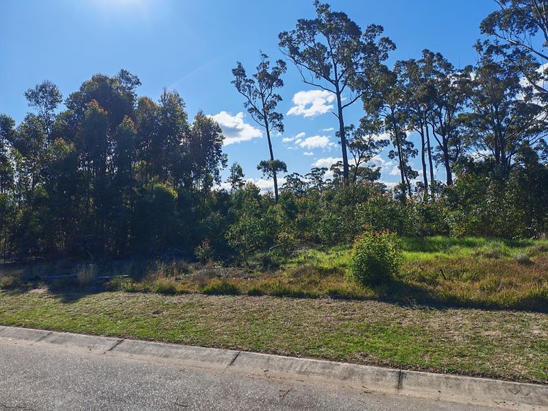 A vacant residential block featuring established native trees and natural vegetation, bordered by a paved road and concrete kerbing.