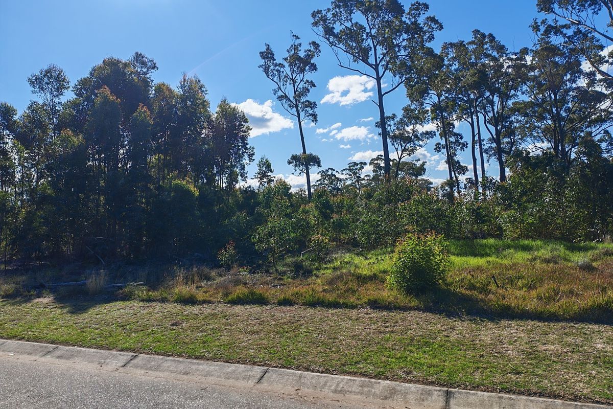 A vacant residential block featuring established native trees and natural vegetation, bordered by a paved road and concrete kerbing.