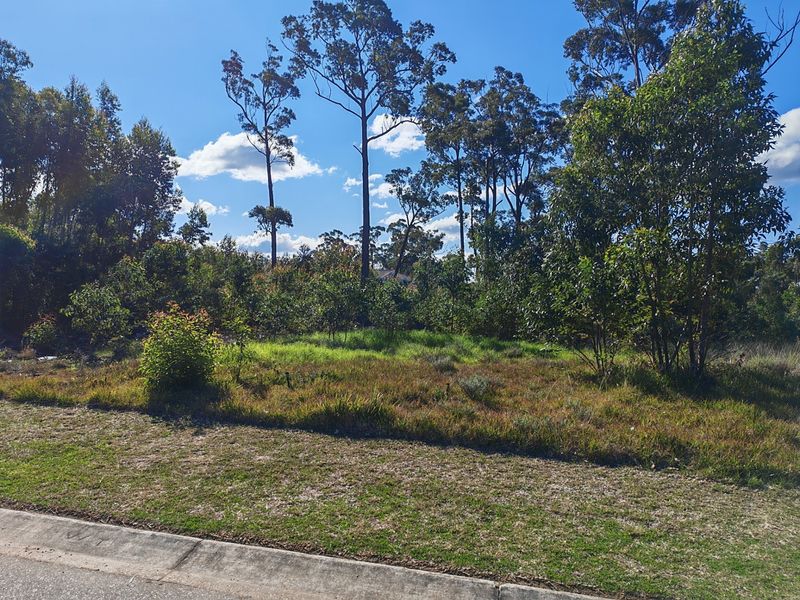 A vacant residential land parcel featuring established native trees and natural vegetation, offering a peaceful setting for future development.