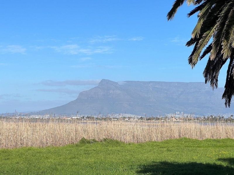 A scenic landscape view featuring a prominent mountain range, wetlands, and a palm tree in the foreground.