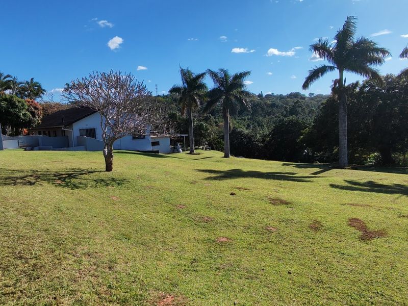 A spacious, well-maintained garden area featuring mature palm trees, expansive lawn, and perimeter fencing, offering a peaceful outdoor setting.