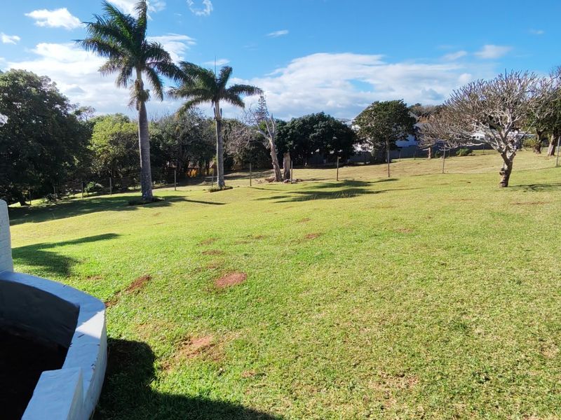A spacious, open garden area featuring a brick retaining wall, established palm trees, and perimeter fencing, offering a large outdoor space.