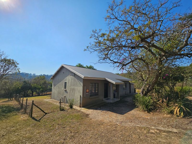 A detached house featuring a metal roof, paved driveway, and security bars on windows, set within a spacious, natural garden environment.