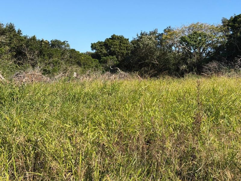 A view of the vacant residential land featuring natural grass coverage and mature trees along the perimeter.