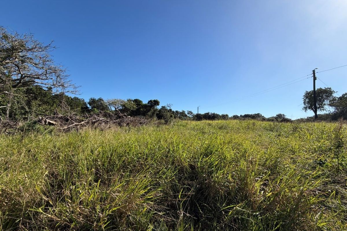A view of a vacant residential plot featuring overgrown grass, mature trees, and an existing utility pole with overhead power lines.