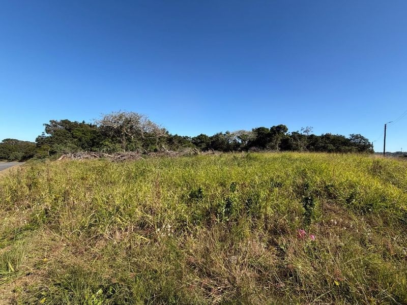 A view of a vacant residential plot featuring natural grass and surrounding trees, offering a blank canvas for future development.