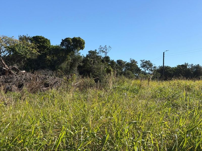A view of a vacant residential plot featuring overgrown grass, natural vegetation, and an existing utility pole with overhead power lines.