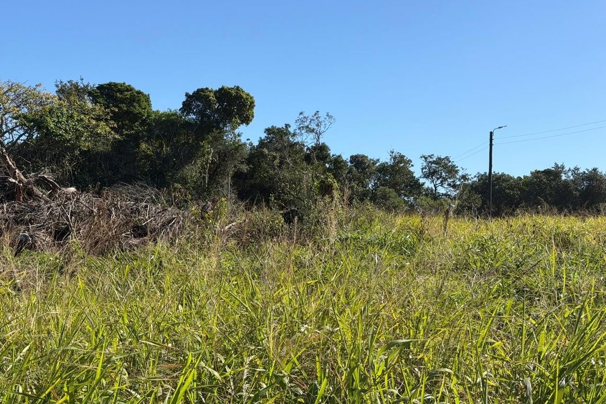 A view of a vacant residential plot featuring overgrown grass, natural vegetation, and an existing utility pole with overhead power lines.